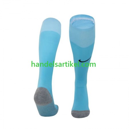 Tottenham Hotspur Socken Heim 2023/24